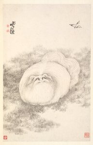 猫と蝶、1788。