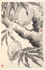 桃 作： Min Zhen