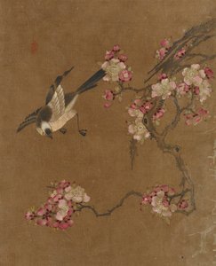 鳥と花の10枚の写真（シルクの色）