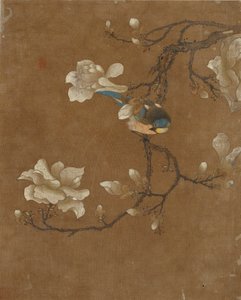 鳥と花の10枚の写真（シルクの色）