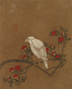 鳥と花の10枚の写真（シルクの色）