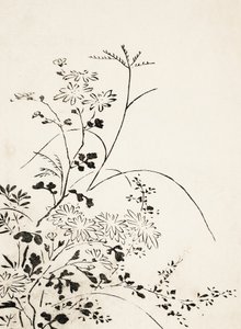 『秋の花と草』（1762年） 作： 