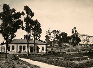 ファシスト時代の帝国建設：アスマラでの関係者の輪、1936年09月05日（モノクロ写真 作： Modestino Baldinetti