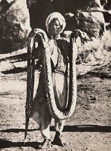 ファシズムの時代に帝国を築く：パイソンを持つインディジーン 1936年09月05日（モノクロ写真
