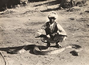ファシズムの時代に帝国を築く：パイソンを持つインディジーン 1936年09月05日（モノクロ写真 作： Modestino Baldinetti