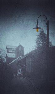 憂鬱な雨の降る通り 作： Molly Fu APA