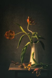  作： Monique van Velzen