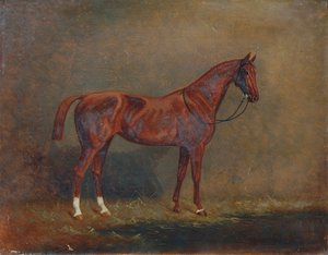 乗馬の肖像画