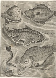 Studieblad は別の方法で出会いました お魚ライブアイコン（連載タイトル） 作： Monogrammist P+P