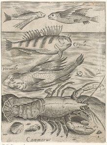 4 匹の魚とロブスターの学習シート Piscium v​​ivae アイコン (シリーズ タイトル) 作： Monogrammist P+P