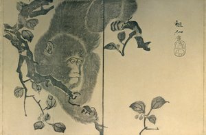 サル、1815年、1924年。 作： Mori Sosen