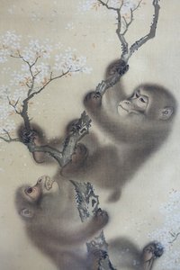 絹本・墨画・彩色 「花咲く桜の中の猿」森宗全 日本・江戸時代 1800年代前半 DSC01127 作： 森宗仙