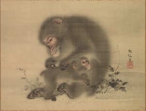 サル、18世紀初頭から19世紀初頭。 作： Mori Sosen
