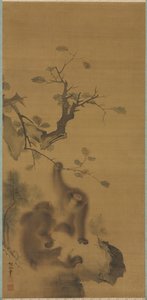 ロック・レッジのサル、1615年から1868年。 作： Mori Sosen