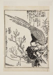 キジと木蓮（カラー木版画 作： Morikuna Morikuna
