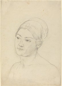 若い女性の頭