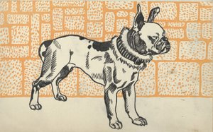 ピットブル テリア、1912 年。 作： Moritz Jung