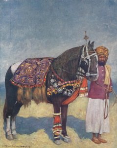 「ジョードプルの馬」、1903 年 作： Mortimer L Menpes