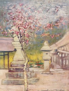 「桃の花」、c1887、1901 作： Mortimer L Menpes
