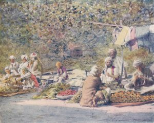 野菜市場、ペシャウル、1905 作： Mortimer Ludington Menpes