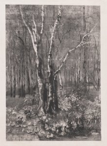 モンツァ近くの公園の森 作： Mose Bianchi
