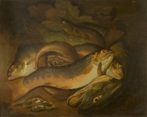 魚類