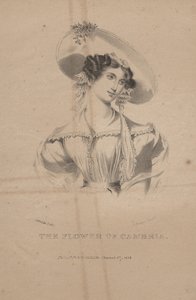 カンブリアの花、CGチャイルズによるリソ、1830年 作： Moses Swett