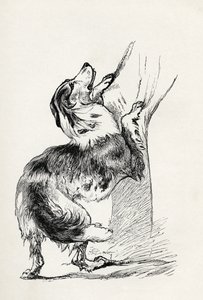 チャールズダーウィンの「人と動物の感情の表現」（1872年）から、彼の主人を愛撫する半飼いのシェパードドッグ 作： Mr. A. May