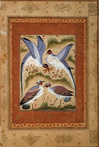 鳥。モゴール派のミニチュア・ガッシュ。1590-1600.パリ、ギメ美術館、国立アジア美術館