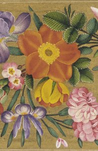 インド、サンクトペテルブルグアルバムのページ、1727年（金地色） 作： Muhammad Sadiq