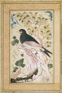 岩の上に止まった鳥、1684 作： Muin Musavvir