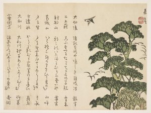 大きな木と鳥、c.1830-44（色木版画） 作： Murata Kagen
