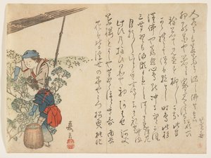 茶摘み機、1830〜44年頃（カラー木版印刷） 作： Murata Kagen