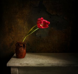  作： Mykhailo Sherman