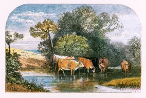 「人けのない村」のイラスト 作： Myles Birket Foster