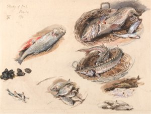 魚の研究、ヴェネツィア 作： Myles Birket Foster