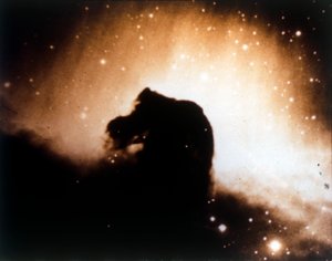 オリオン座の馬頭星雲。 作： NASA Images