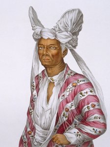 ティモール近郊のソロール島の女王、ナバレバ。発見者の航海からオーストラリア領土までのプレート25で、パブのロジャーが彫刻しました。 1800-04 作： N. Petit