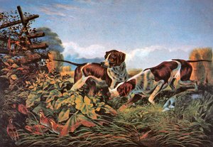 アメリカのフィールドスポーツポイントについて 作： Currier and Ives