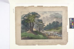 レバノン杉 (手描きのリトグラフ) 作： N. and Ives J.M. (1824 95) Currier