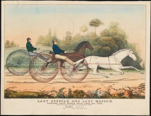 &39;Lady Suffolk&39; and &39;Lady Moscow&39;、Hunting Park Course、Philadelphia、6thth、1850（hand-coloured litho）