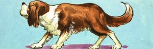 ピーターパンとウェンディ 作： ナディール・クイント
