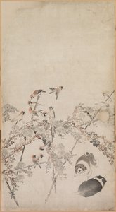 子犬、すずめ、菊 作： Nagasawa Rosetsu