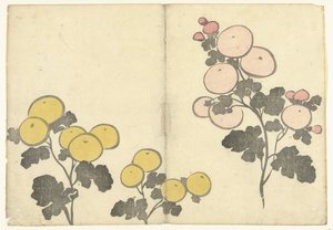 様式化された黄色とピンクの花 光琳の画集（連載タイトル） 光琳がうう（連載タイトル） 作： Nakamura Hochu