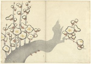 梅の花 光琳の画集（連載タイトル） 光琳がうう（連載タイトル） 作： Nakamura Hochu