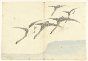 フライング ガチョウ 5 羽 光琳の画集（連載タイトル） 光琳がうう（連載タイトル）