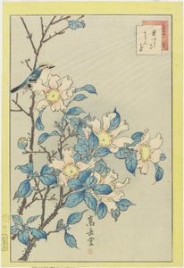 青い鳥とピンクの花、1859（カラー木版印刷）