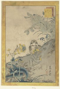 若いツグミ、開花エンドウ、菜種 つぐみえんどう菜の花 48のスケッチ いきうつようじゅうはちばん