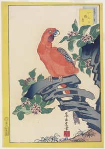 ピンクのパロットオンロック、1859（カラー木版印刷） 作： Nakayama Sugakudo