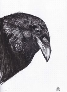 カラスかカラスか、2020年 作： Nancy Moniz Charalambous